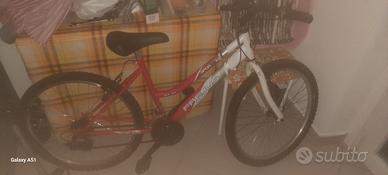 bicicletta