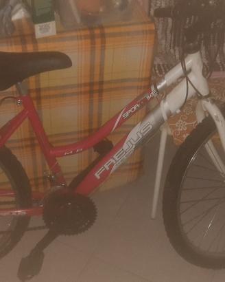 bicicletta