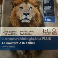 Libri scolastici