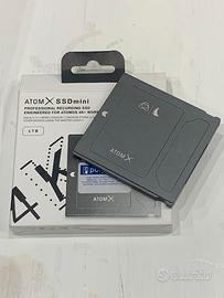 Angelbird AtomX SSDmini 1TB - SSD Professionale