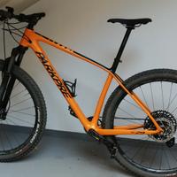 Mtb 29 carbonio 