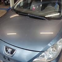 Cofano PEUGEOT 307 del 2006