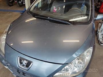 Cofano PEUGEOT 307 del 2006