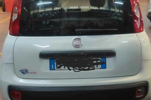 fiat panda