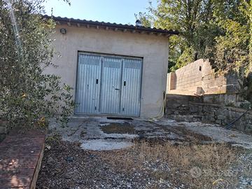 Terreni con olivi ed annesso agricolo