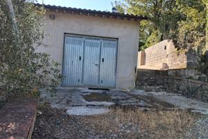 Terreni con olivi ed annesso agricolo
