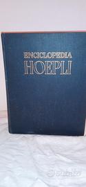 Enciclopedia Hoepli sette volumi ( A-Z ).