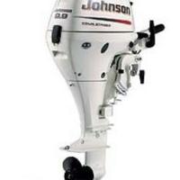 Johnson 9.9-15 4tempi gambo lungo 2008 perfetto