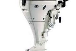 Johnson 9.9-15 4tempi gambo lungo 2008 perfetto