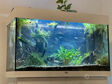 Acquario 125 Litri