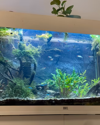 Acquario 125 Litri