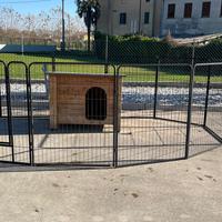 Cucci per cani