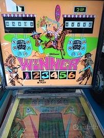 Pinball flipper Williams WINNER