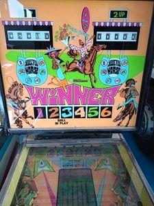 Pinball flipper Williams WINNER