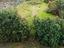 Immagine 14
