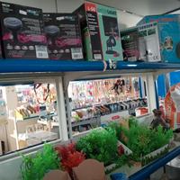 laghetto da giardino 