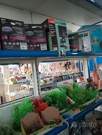 laghetto da giardino 