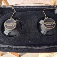 Pannello audio con amplificatore