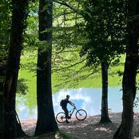 Rockrider Race 900 GX Blue