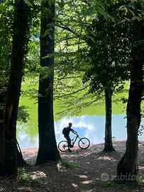 Rockrider Race 900 GX Blue