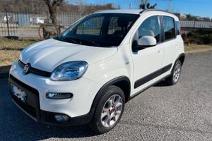 Fiat Panda 1.3 MJT S&S 4x4 Antartica