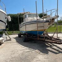 Rio 800 fish refitting