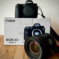 Canon 6D Mark II +Canon EF 24-105mm f/4L IS II USM