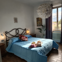 Magnifica infiorata di spello