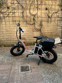 Monster Bike Pieghevole M4 bicicletta eletrica