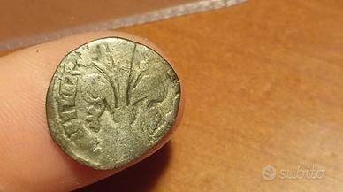 Raro quattrino Repubblica Fiorentina