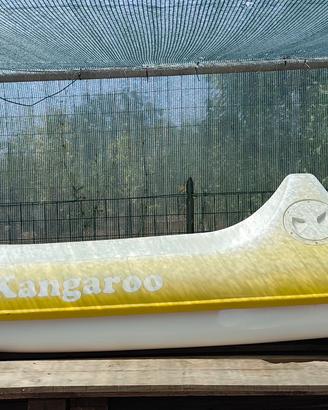 canoa in vetroresina