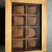 Contenitore espositore orologi/bracciali