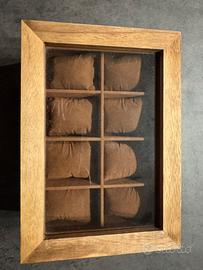 Contenitore espositore orologi/bracciali