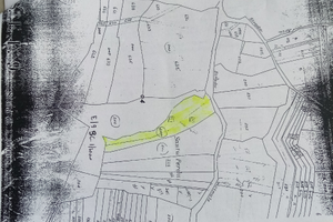 Terreno con pozzo artesiano