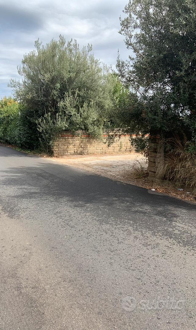 Terreno fronte strada 1900mq - Ansicht 4