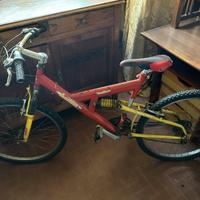 Mountain bike