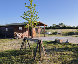 Terreno agricolo