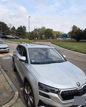 skoda karoq **full opitonal** style