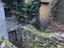 Immagine 7