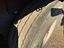 Immagine 12