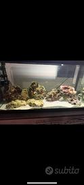 Rocce acquario + lampada