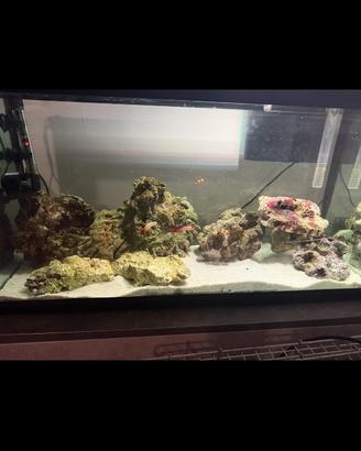 Rocce acquario + lampada