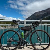 Canyon Endurance CF8 LTD-Tg M-powermeter 4iii-2023