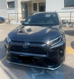 RAV4 plug in