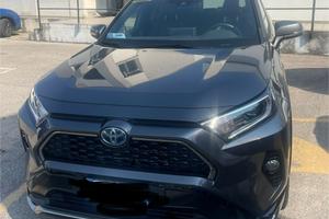 RAV4 plug in