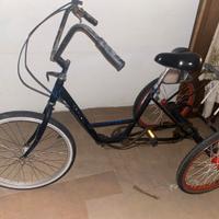 Triciclo per adulti