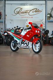 Aprilia AF1 125 Replica 1988 restaurata