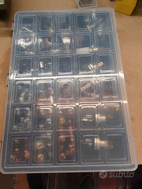 lampadine + contenitore 