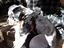 Immagine 1