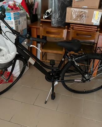 Bicicletta graziella